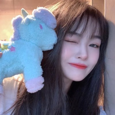 双子星大冒险国语